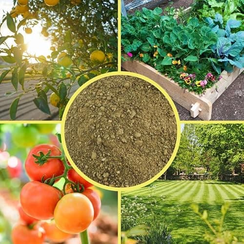 Greensand Soil Additive (1 Pound); Special Container Gardening Additive - 1 Pound thumbnail 6