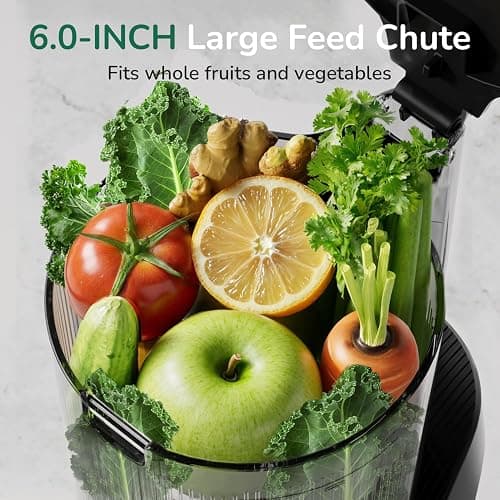 Canoly C16 Cold Press Juicer, with a 6" Wide Chute & Self-Precut, 3-in-1 Strainers (Juice & Sorbet & Nut Milk), BPA-Free Construction, Powered by a AC Brushless Motor (Space Gray) thumbnail 3