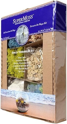 SuperMoss (90422) Beach Terrarium DIY Kit – Create Stunning Nature-Inspired Mini Gardens – Perfect for Home Decor, Office Gifts, and Plant Lovers, Appx 4 Oz thumbnail 6