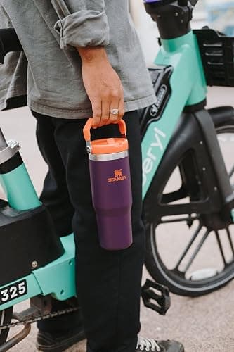 STANLEY IceFlow 2.0 Flip Straw Tumbler with Handle 30 oz | Twist On Lid and Flip Up Straw | Leakproof Water Bottle | Insulated Stainless Steel | BPA-Free | Chalk thumbnail 7