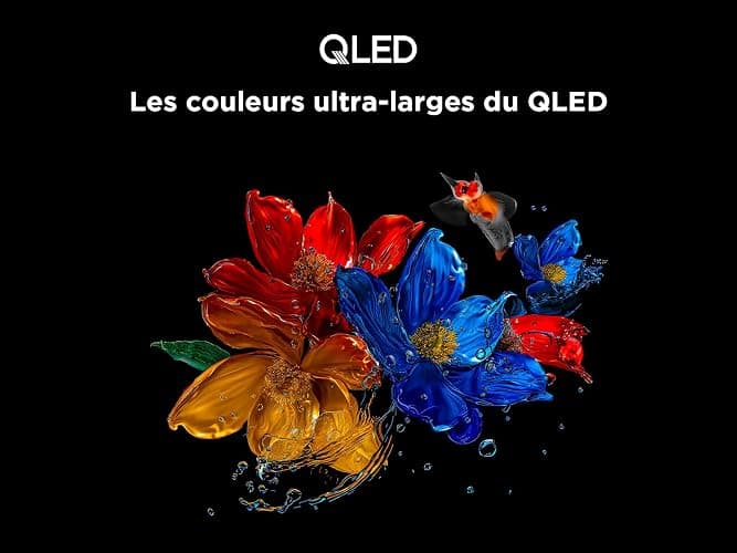 TCL 65T6C Fire TV 65 Pouces QLED 4K UHD Smart TV, HDR (Multi-Format), Dolby Atmos, Motion Clarity thumbnail 5