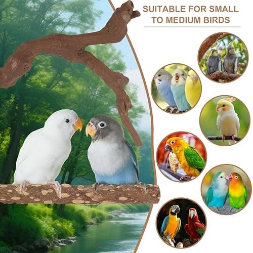 Parrot Perch Bird Perch Stand Set Natural Wild Wood Grape Sticks Paw Grinding Fork Parakeet Climbing Standing Branches Toys Cage Accessories for Conure,Cockatiels Lovebirds,Budgies Chewable 6PC thumbnail 7