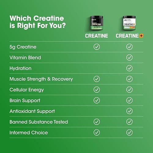 Optimum Nutrition Micronized Creatine Monohydrate Powder, Unflavored, 120 Servings, 600 Grams (Packaging May Vary) thumbnail 4