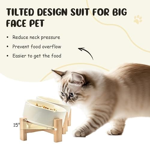 SPUNKYJUNKY 15° Slanted Ceramic Dog Bowl with Elevated Bamboo Stand - Tilted Pet Feeder for French Bulldog Pugs No Slip Anti-Vomiting for Cat Small Dog Flat Face Pets 13.5 OZ (1.7 Cups, Beige × 2) thumbnail 3