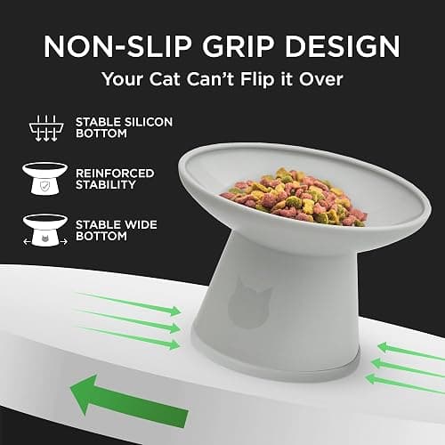 Necoichi BPA-Free Extra-Wide Elevated Cat Food Bowls, 2-Pack (Urban Fog) thumbnail 5