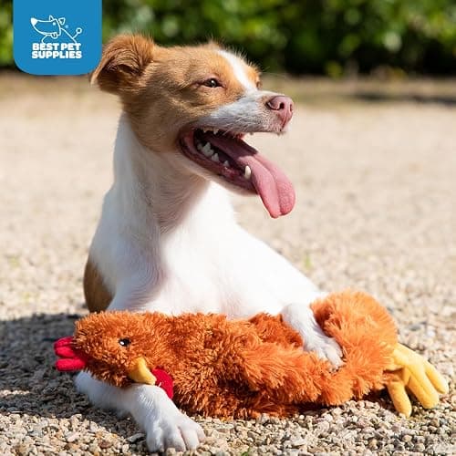 Best Pet Supplies Interactive Squeaky Dog Chew Toy, Ideal Dog Toys for Chewers, Small, Medium & Large Dogs, and Fetch Lovers - Crinkle Chicken (Brown), Large thumbnail 5