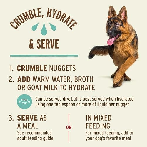 Primal Freeze Dried Raw Dog Food Nuggets, Duck, Complete & Balanced Meal, Also Use as Topper or Treat, Premium, Healthy, Grain Free, High Protein Raw Dog Food, 14 oz thumbnail 7