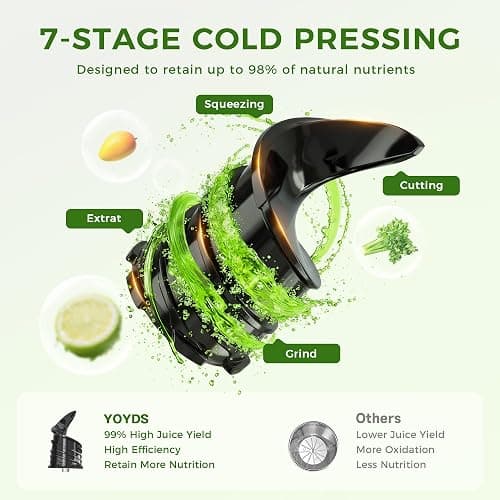 Cold Press Juicer, 5.5inch Wide Feed Chute Juicer Machine, Slow Masticating Juicer for Whole Vegetables & Fruits, Gray thumbnail 4