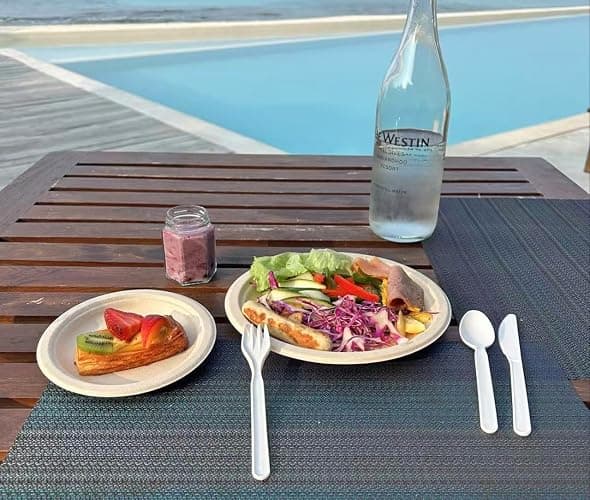 GreenWorks Heavy-duty Compostable Spoons,BPI Certified,100 Count Large Disposable Cutlery Spoons thumbnail 2