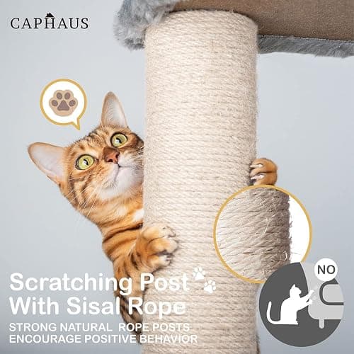 CAPHAUS 70-Inch Multi-Level Tall Cat Tree with Cute Top Perch, Scratching Posts, Cat Activity Tree w/Modern Hammock, Cat Cave Condo for Large Cats Kittens Tall Cat Climbing Play Tower thumbnail 5