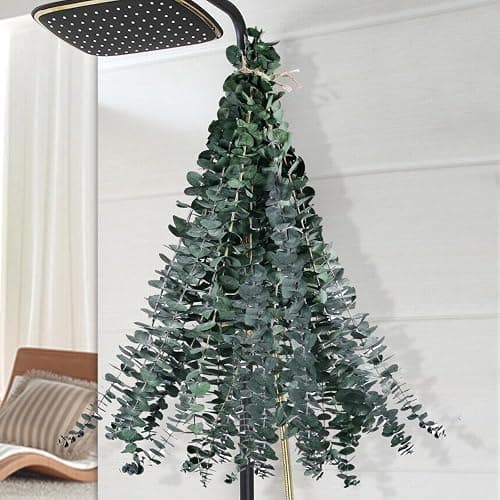 12PCS Dried Eucalyptus for Shower Hanging - 17'' Real Large Preserved Eucalyptus Stems Green Home Decor, 100% Made from Fresh Eucalyptus Leaves, Bathroom Shower Decor, Wedding, DIY - Image 1