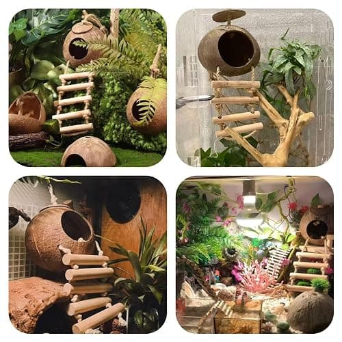 10PCS Crested Gecko Tank Accessories, Reptile Plants Bridge Vines, Coconut Shell with Ladder for Lizard, Chameleon Cage, Snakes, Hermit Crab, Leopard Gecko Tank Accessories, Terrarium Decor thumbnail 6