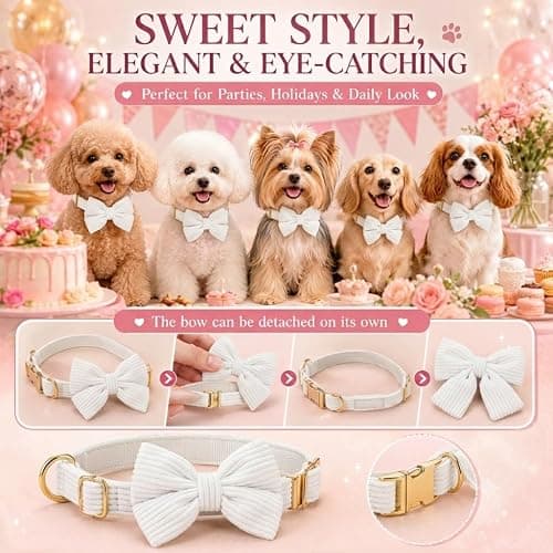 RoseYouth Dog Collar and Leash Set with Bowtie, Soft & Cute Puppy Collar, Cotton Puppy Collar with Adjustable Metal Buckle for Small, Medium Dog (White, Size S: Neck 10"-16") thumbnail 6