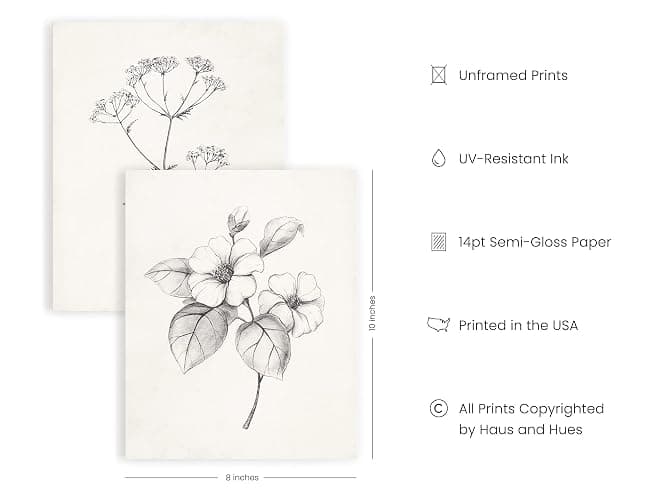 HAUS AND HUES Grey Floral Wall Art - Set of 4 Plant Posters for Wall Vintage, Botanical Prints, Black and White Flower Pictures for Room Aesthetic, Farmhouse Bathroom, Rustic Art (8x10, Unframed) thumbnail 3