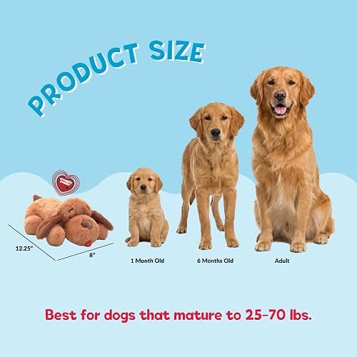 Snuggle Puppy Original Heartbeat Puppy Toy with Real-Feel Pulse & Heat Pack, Plush Dog Comfort Toy for Crate Training, First Nights & New Puppy Transition - Biscuit thumbnail 3