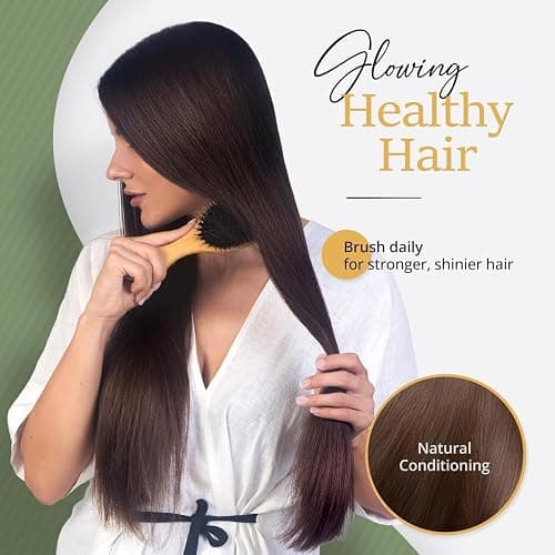 Belula Boar Bristle Hair Brush - Hair Brushes for Women & Mens Hair Brush, Detangler Brush, Hairbrush, Detangling Brush for Long, Curly or Any Type of Hair. thumbnail 3