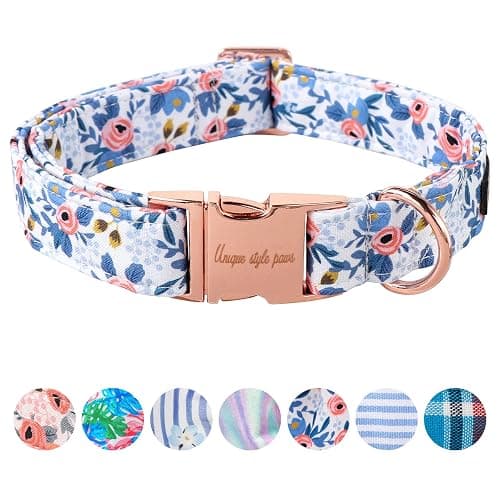 Unique style paws Dog Collar Metal Buckle Red Rose Puppy Collar Flower Gift Durable Cute for Small Medium Large Boys Girls Dogs - Image 1