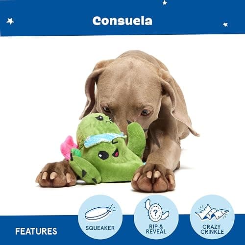 Barkbox Consuela The Cactus 2-in-1 Interactive Plush Dog Toy - Squeaky Dog Chew Toy with Crinkle Layers - for Large Dogs and Puppies thumbnail 4