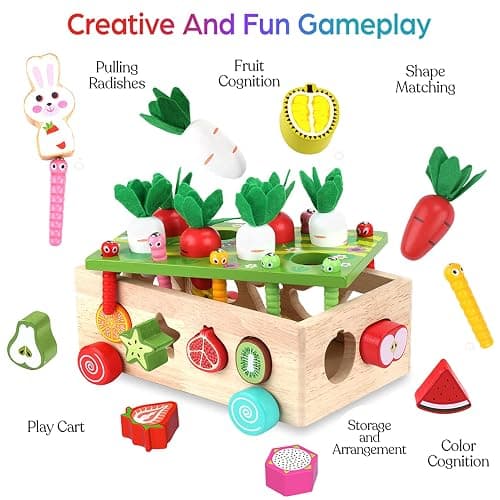 Toddlers Montessori Wooden Educational Toys for Baby Boys Girls Age 1 2 3 Year Old, Shape Sorting Toys 1st One First Birthday Girl Gifts for Kids 1-3, Wood Preschool Learning Fine Motor Skills Game thumbnail 4