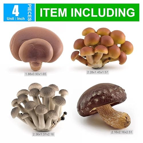 GUFOPONAS Realistic mini Life Cycle of Mushroom Figure Toy Set 4PCS Mushroom Decor for Diorama Projects Kids Birthday Gift Learning Toy thumbnail 7