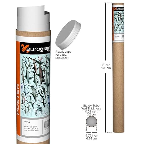 Eurographics 2450-2860 Sharks Poster 38.5 x 26.75 inch thumbnail 3