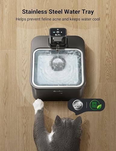 DownyPaws 2.5L Trinkbrunnen für Katze Kabellos, Katzenbrunnen Kabellos mit Bewegungsmelder und Batteriebetrieben, 4000mAh, Leise Wasserpumpe, Tablett aus Edelstahl für Katze, Schwarz mit 6 Filters thumbnail 7