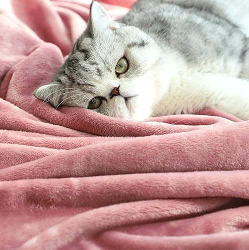 TASTHROW Large Flannel Fleece Throw Blanket, 50×70 Inch - Cozy Lightweight Thick Blanket - All Seasons Suitable for Women, Men and Kids (Pink) thumbnail 5