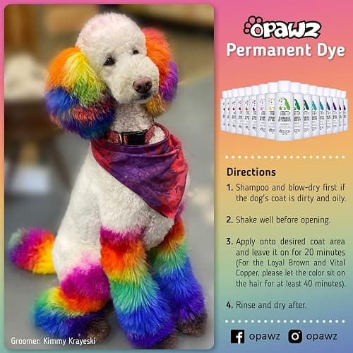 OPAWZ Permanent Dog Hair Dye, Pet Hair Dye Safely Used by Grooming Salons for a Decade, Pet Safe Dye Lasts Over 20 Washes, Bright Color for Dogs and Horses (Chic Violet) thumbnail 3