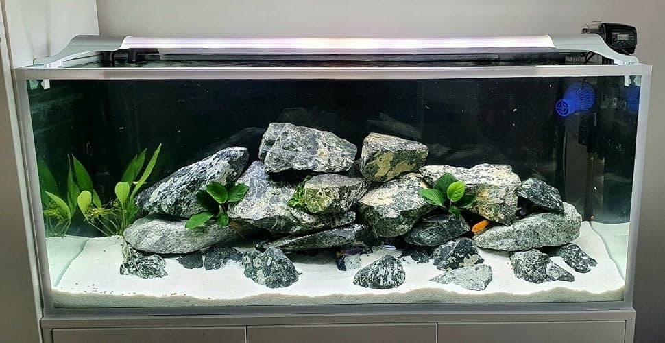 TM Aquatix Aquarium Sand Natural Substrate For All Types Fish Tanks (1kg, Snow White Dolomite) thumbnail 8