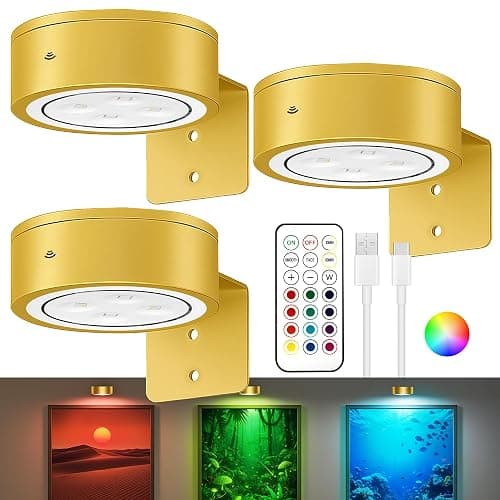 3-Pack Picture Lights for Wall, 13 RGB Color Changing Led Art Display Light with Rechargeable Battery Operated, Magnetic Painting Light with Remote Control, Wireless Home Wall Decorative Lighting - Image 1