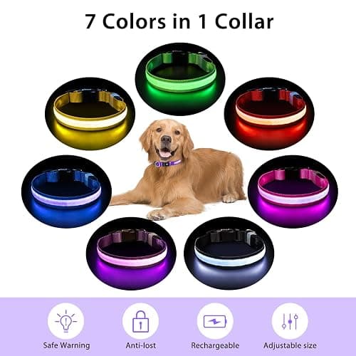 PcEoTllar Light Up Dog Collars, LED Dog Collar Rechargeable Purple Lighted Dog Collar Waterproof Dog Lights for Night Walking RGB Colorful Flashing Dog Collar for Small Medium Large Dogs-Purple-M thumbnail 4