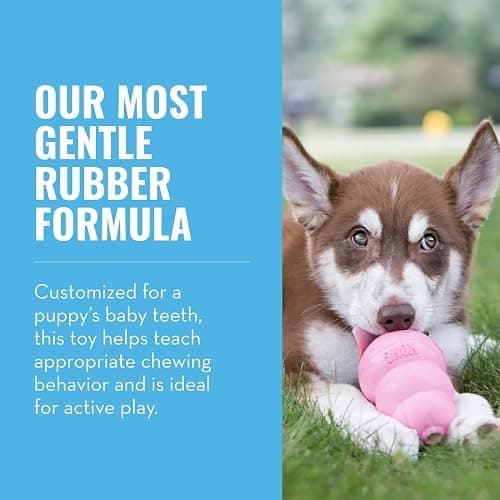 KONG - Puppy Toy Natural Teething Rubber - Fun to Chew, Chase and Fetch - for Small Puppies - Pink thumbnail 3