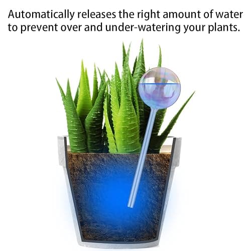 [6 PCS] Light Iridescent Rainbow Gradient Color Clear Glass Self-Watering System Spikes, Automatic Plant Waterer Bulbs thumbnail 3