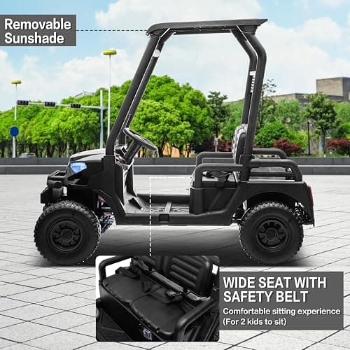 24V 2 Seater Kids Ride on Car, 4WD Golf Cart with Parent Remote Control, 4x4 Motors Ride on Truck with Roof, Toddler Electric Vehicle with Storage Box, Foot Pedal, Music Player, Lights, Horn, Black thumbnail 5