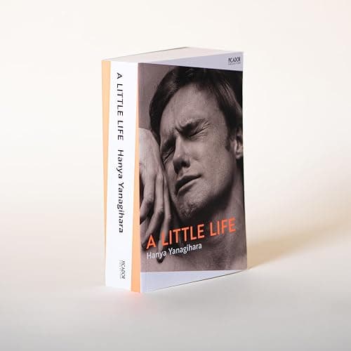 A Little Life thumbnail 3