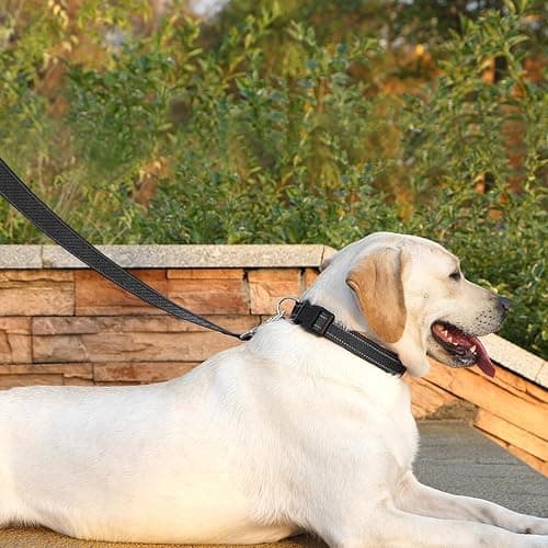PenSeepet 6 FT Basic Dog Leash for Medium Dogs,Black | Padded Handle,Metal D-Ring,Heavy Duty Nylon Webbing, for Walking & Training thumbnail 3