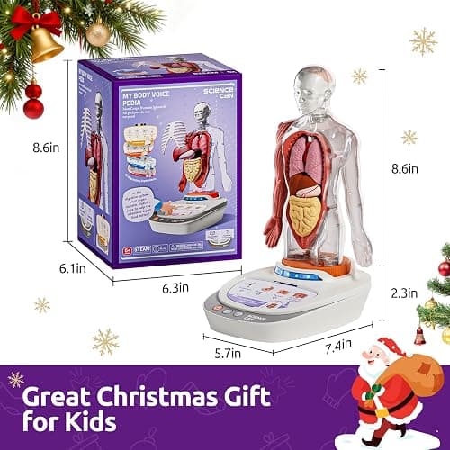Science Can Human Body Model for Kids, Interactive Human Anatomy Talking Model - 11 Inch Realistic Anatomical Assembly Kit, 15PCS Removable Parts & Guide, Educational STEM Toys Gifts for Kids Aged 6+ thumbnail 3