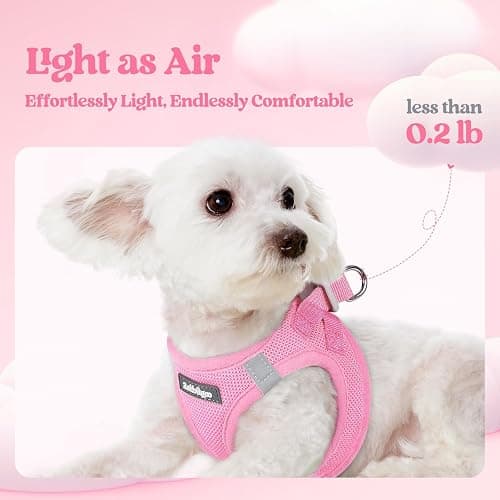 rabbitgoo Dog Harness Small Sized and Leash Set, Step-in Puppy Pet Vest | Light, Soft, Breathable Air Mesh, Easy on and Remove with Hook & Loop, Secure Reflective for Walking, Light Pink S thumbnail 4