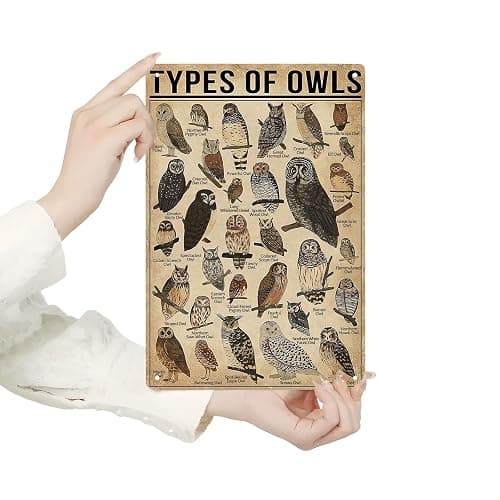 Homely Accents Types Of Owls Vintage Metal Signs, Educational Poster Tin Signs for Home Bathroom Classroom Cafe Decor Farmhouse Wall Art Gift for Owl Lovers Kids, 8x12 Inch thumbnail 6
