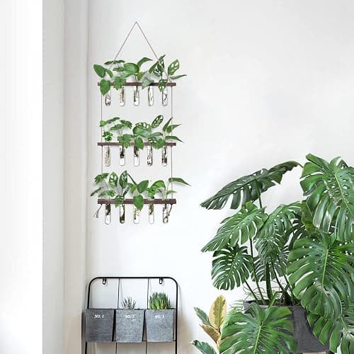 XXXFLOWER Wall Hanging Propagation Station with Wooden Stand 5 Glass Test Tubes 3 Tiered Planters Wall Terrarium for Home Office Plant Hanger Flower Vases Wall Decor Hydroponic Cuttings thumbnail 8