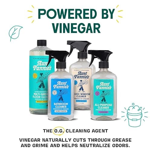 Aunt Fannie's Glass & Window Cleaning Vinegar Spray, Natural Streak-Free Spray, 16.9 Ounces (Pack of 1) thumbnail 3