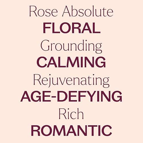 Plant Therapy Rose Absolute Pre-Diluted Essential Oil Perfume Roll-On 10 mL (1/3 oz) 100% Pure, Natural Aromatherapy, Therapeutic Grade thumbnail 4