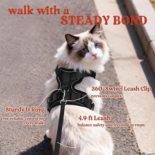 rabbitgoo Cat Harness and Leash for Walking, Escape Proof Soft Adjustable Vest Harnesses for Cats, Easy Control Breathable Reflective Strips Jacket, Black, XS thumbnail 5