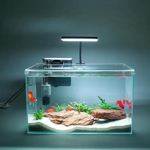 Vimvins 10 Gallon Glass Small Fish Tank with Filter Light and Lid, Aquarium Starter Kit - Image 1