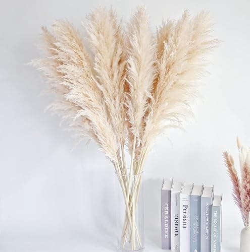 46" inch 10 Stems Natural Pampas Grass Decor Tall, Pompas Grass, Tall Pampas Grass for Weddingm, Farmhouse, Boho Home Decor (Beige) thumbnail 5
