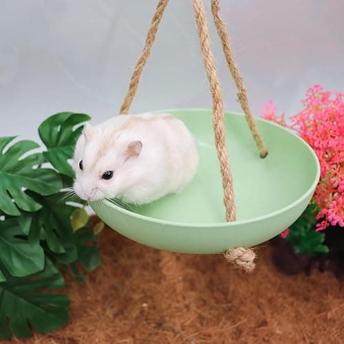 Neeenn Frog Swing Toys, Gecko Swing Toys, Plastic Reptile Amphibian Climbing Toys, Tank Aquarium Terrarium Decoration Accessories, Suitable for Frog Gecko Lizard Chameleon Hermit Crab Hamsters Rats - Small-5.5 Inch in Diameter - Green thumbnail 3