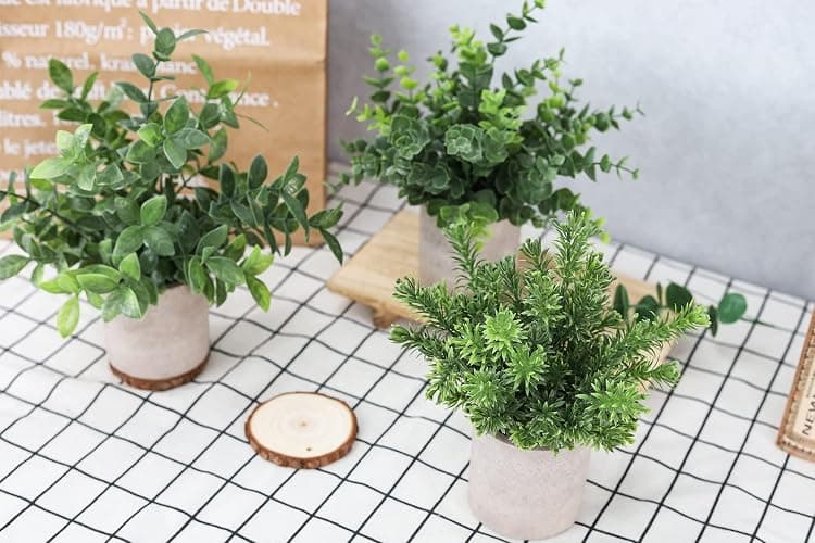 Der Rose 3 Pack Mini Potted Fake Plants Artificial Plastic Eucalyptus Plants Centerpieces for Table Home Office Desk Accessories Farmhouse Room Classroom Decor thumbnail 6