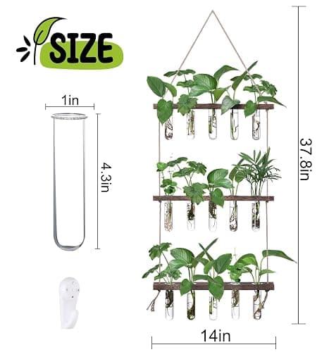 XXXFLOWER Wall Hanging Propagation Station with Wooden Stand 5 Glass Test Tubes 3 Tiered Planters Wall Terrarium for Home Office Plant Hanger Flower Vases Wall Decor Hydroponic Cuttings thumbnail 3