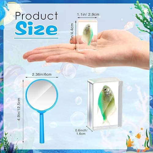 Rotatingpals 9 Pcs Marine Ocean Life Specimen Set Term Begins for Gifts Sea Animal Insect in Resin Collection Paperweights with Magnifier Animal Specimen thumbnail 3