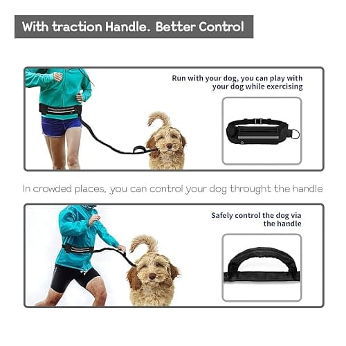 Edipets, Laisse Canicross, Main Libre Chien, pour Ceinture, Running, Anti-tirons, réfléchissant, 160-220 cm (Noir) thumbnail 5